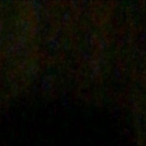 Meet your Posher, Skyler